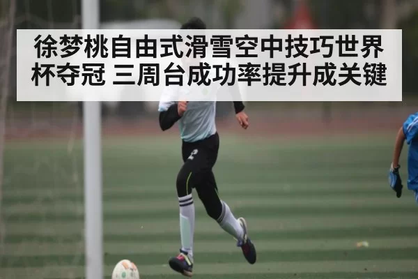 徐梦桃自由式滑雪空中技巧世界杯夺冠 三周台成功率提升成关键